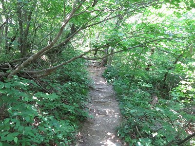 山頂からの景色